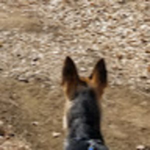 Meet your Posher, Katrina